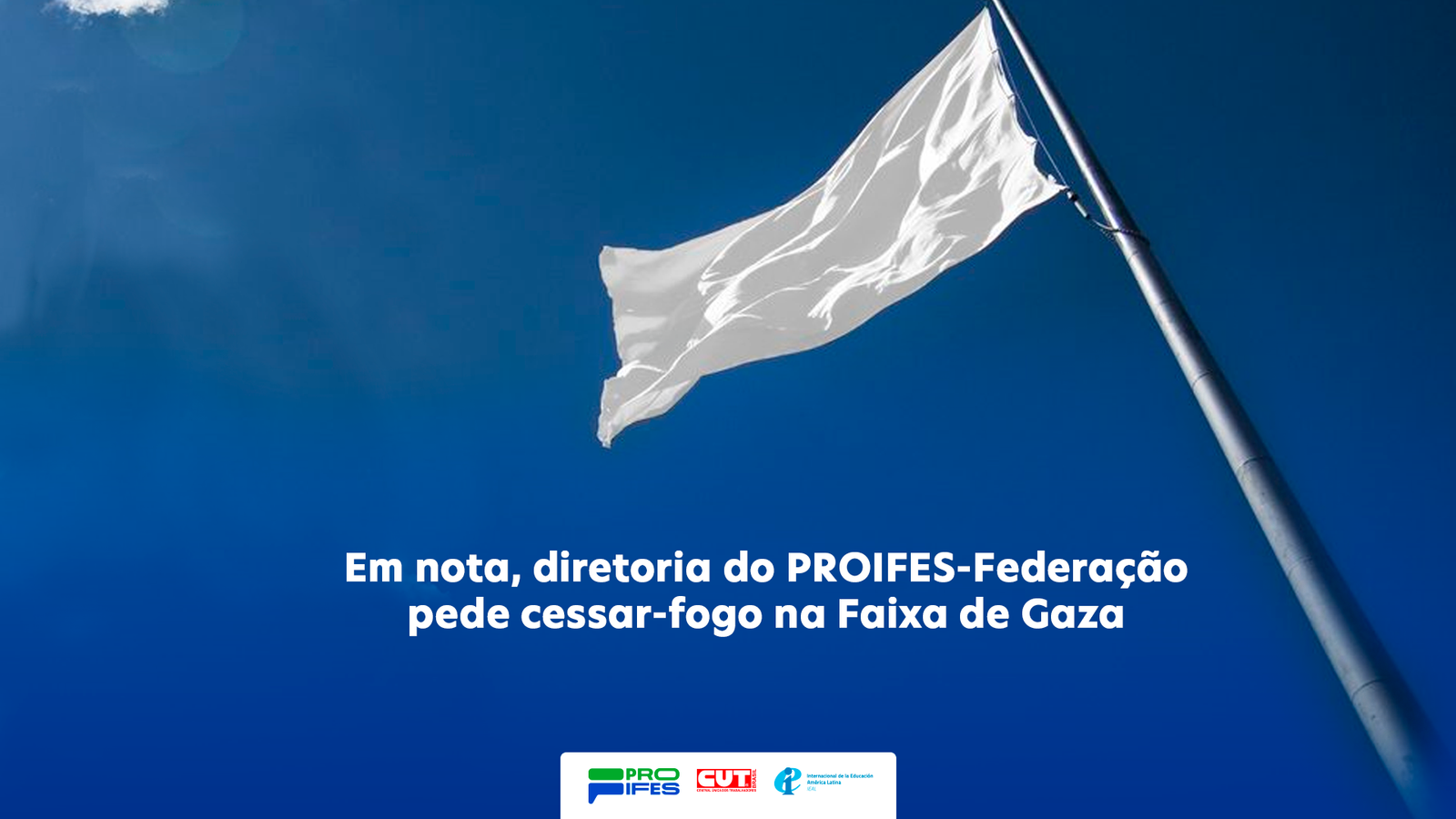 Em nota, diretoria do PROIFES-Federação pede cessar-fogo na Faixa de Gaza