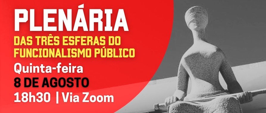 PROIFES-Federação participa de plenária sobre previdência de servidores públicos federais