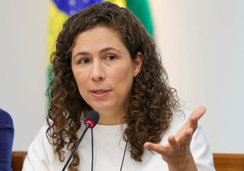Reforma administrativa não mudará estabilidade de servidor, diz Dweck