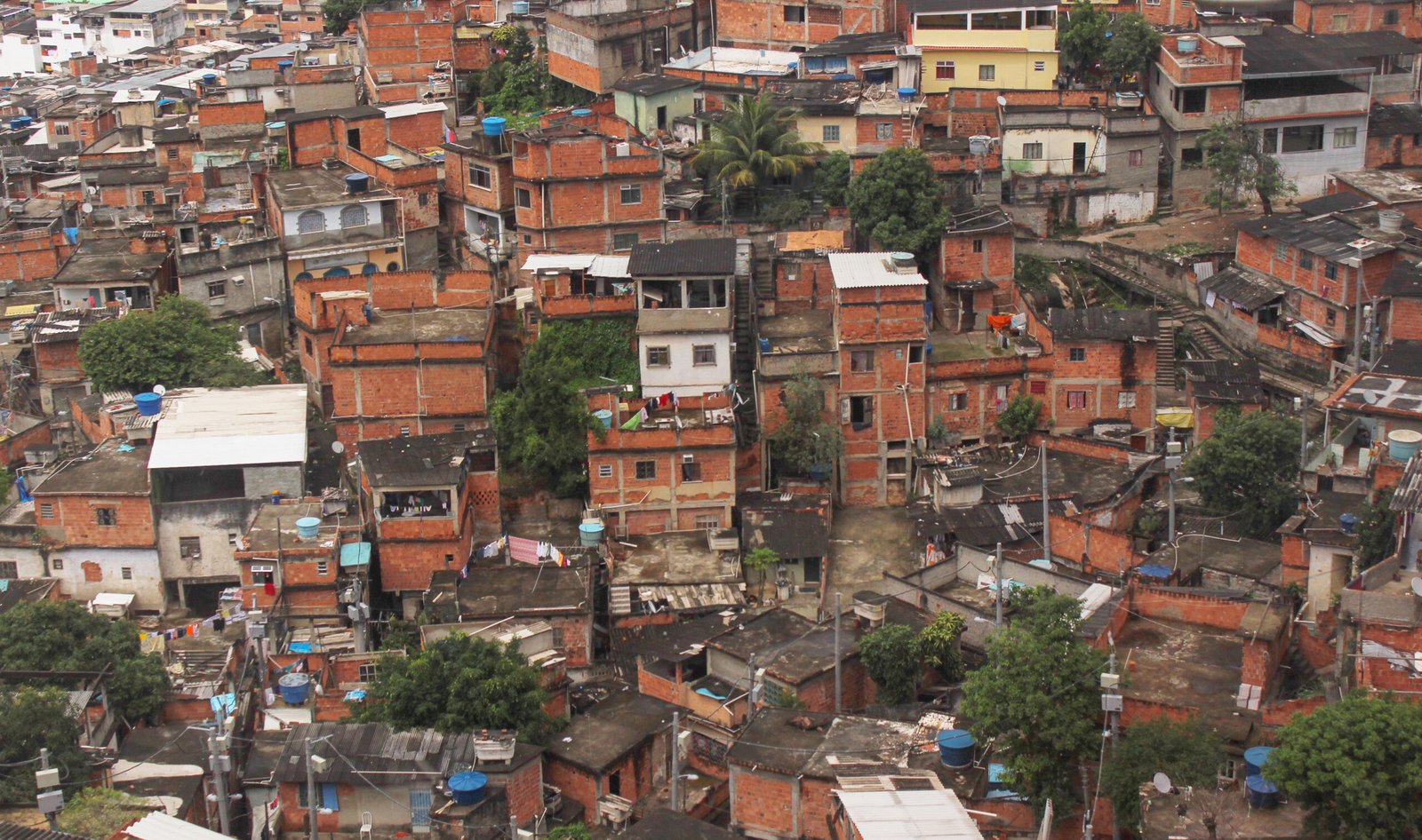 Artigo – A Morte pede passagem