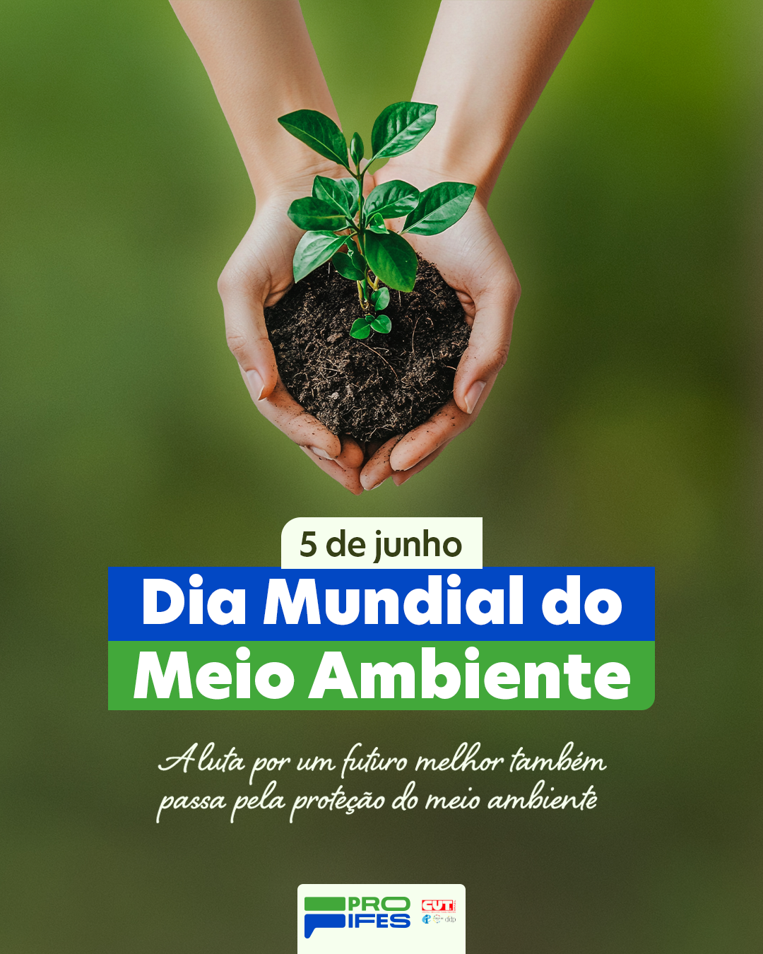 PROIFES comemora o dia Mundial do Meio Ambiente